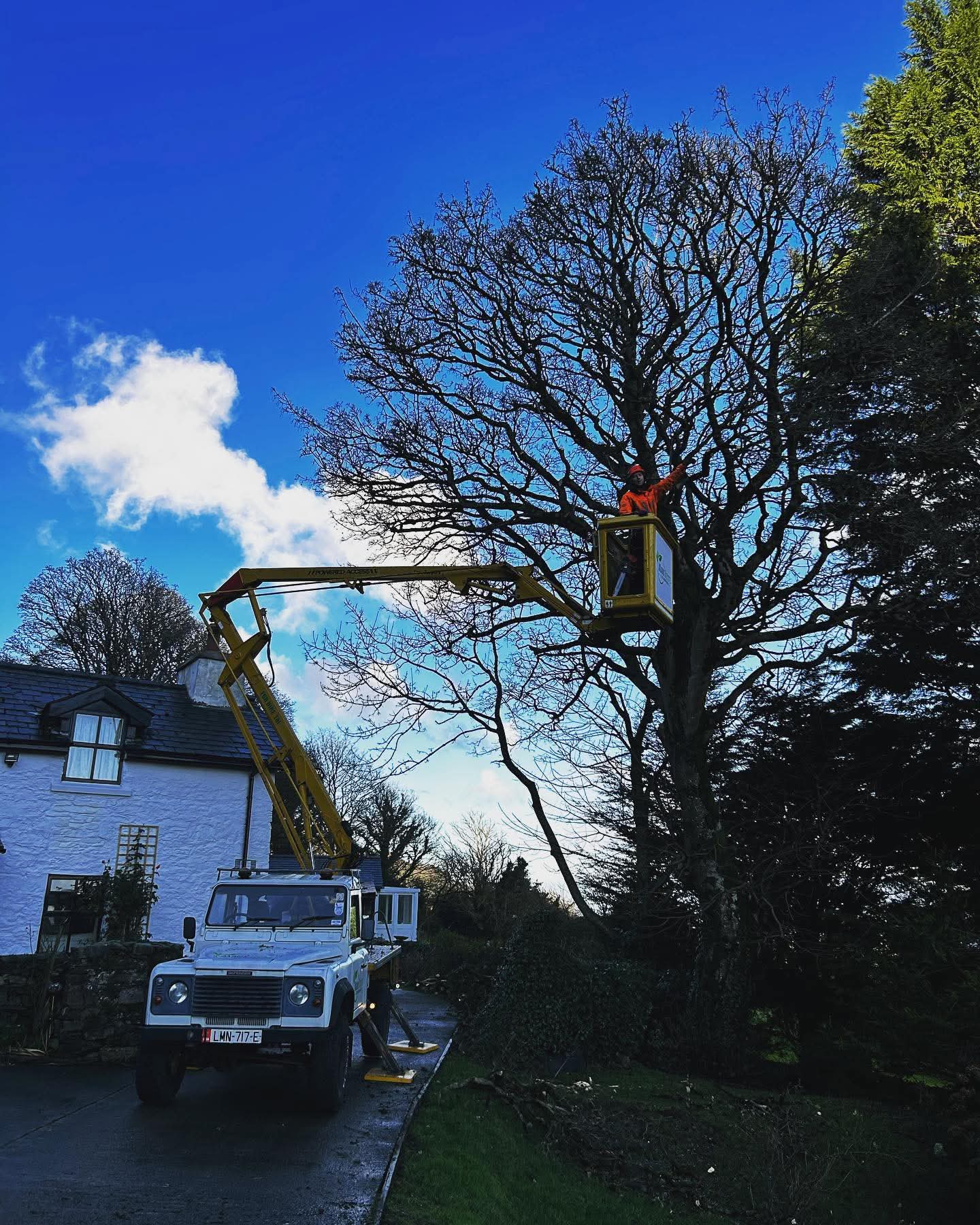 Cherry picker tree work