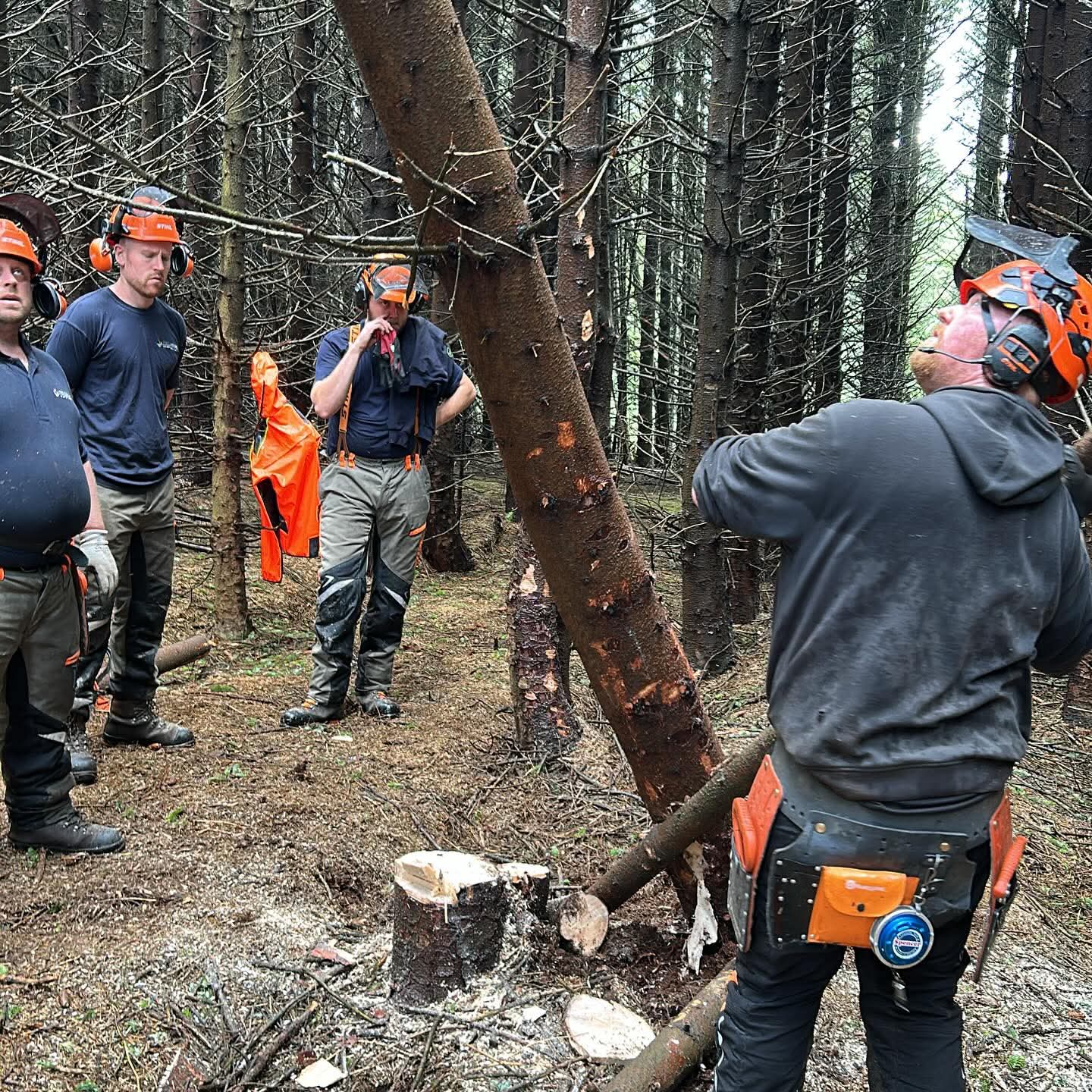 Training course photo 2