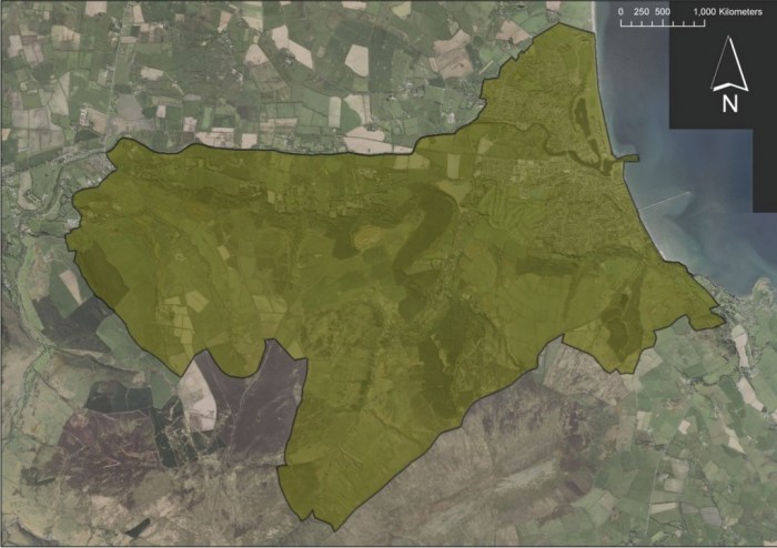 rf_ramseynewforest