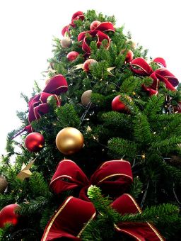 christmastree